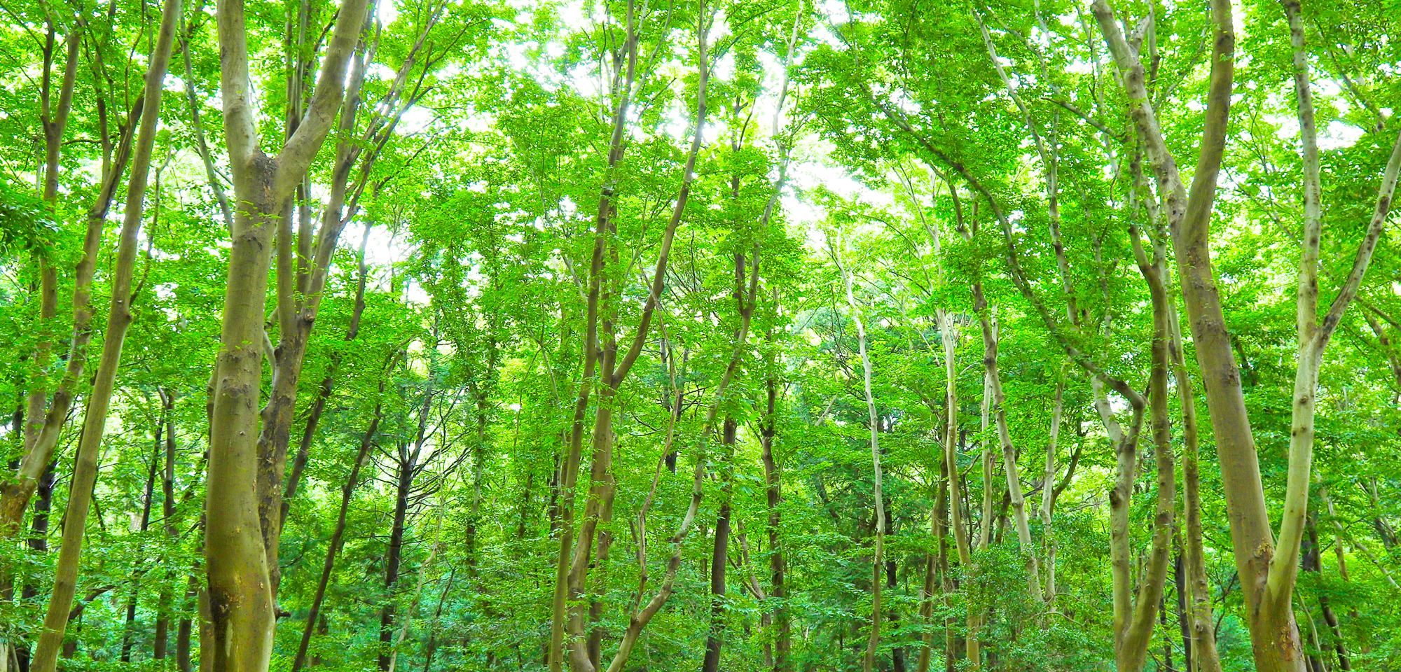 株式会社慈善導・トワ